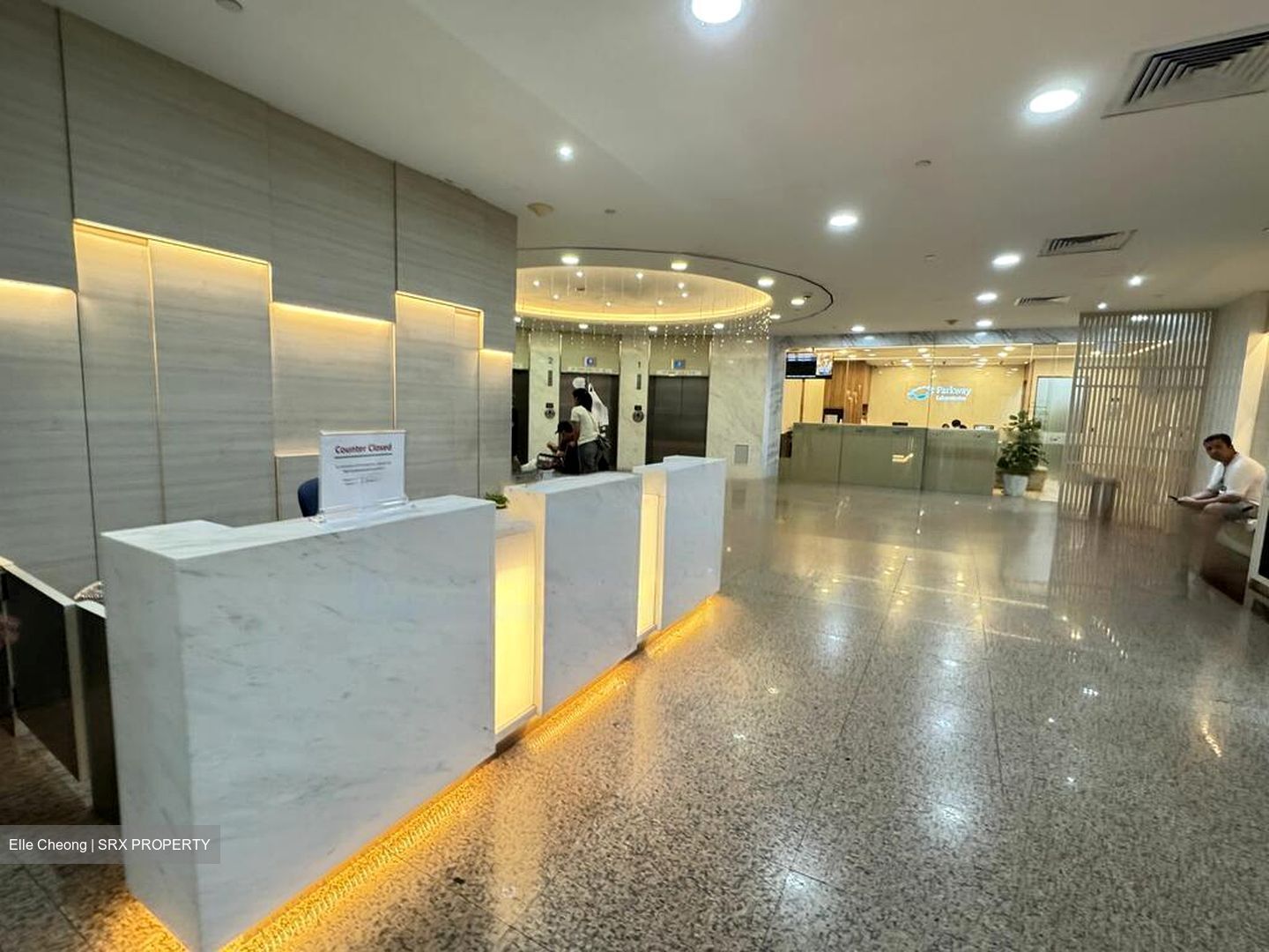 Gleneagles Hospital (D10), Retail #454278091